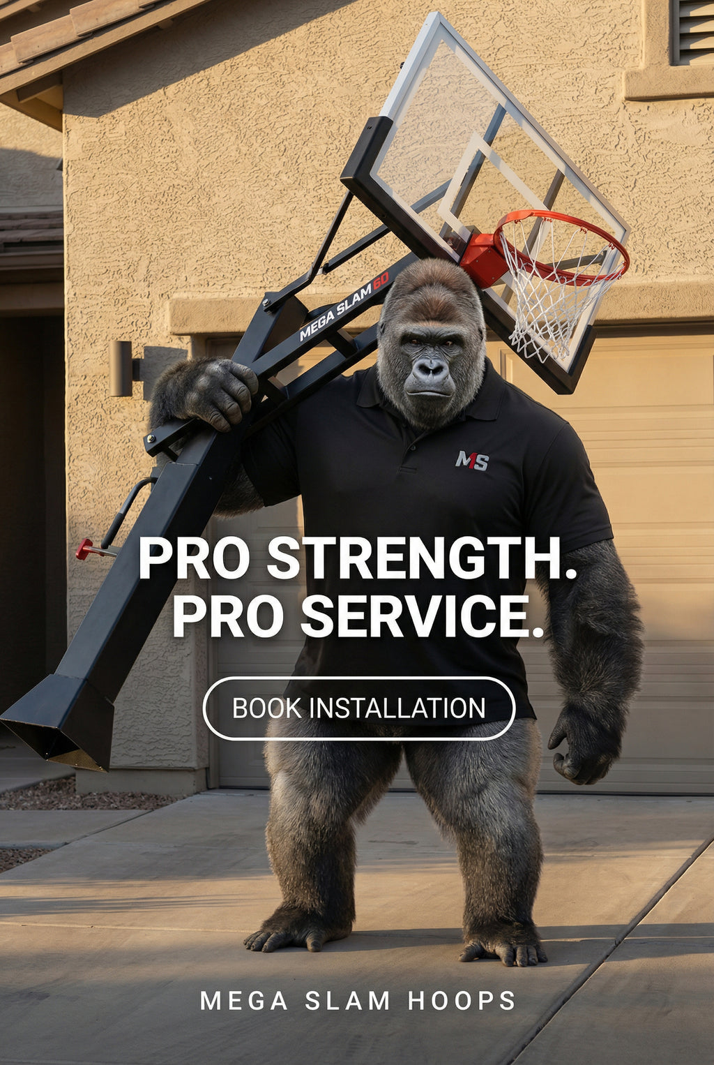 54in Goaliath Basketball hoop.